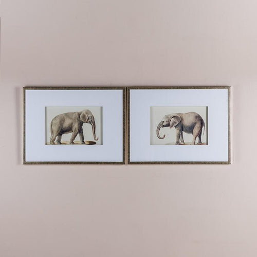 Indian Elephant Pencil Drawings Set
