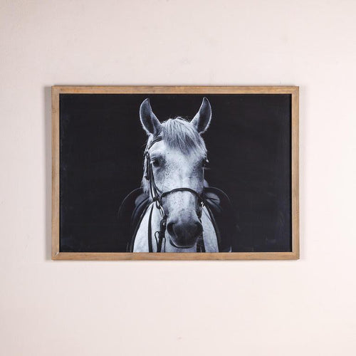 A White Horse Framed Print