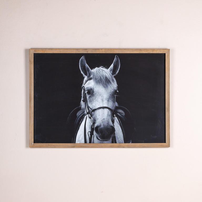 White Horse Framed Print